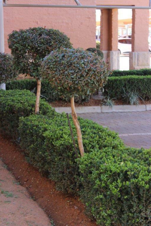 Reliwave Pty Ltd Apartment Bloemfontein Bagian luar foto